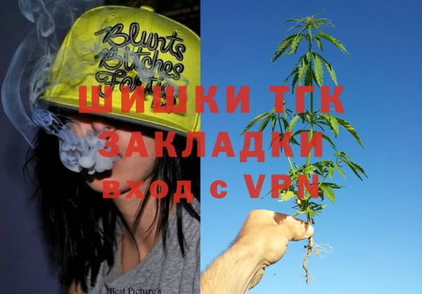 ПСИЛОЦИБИНОВЫЕ ГРИБЫ Сатка