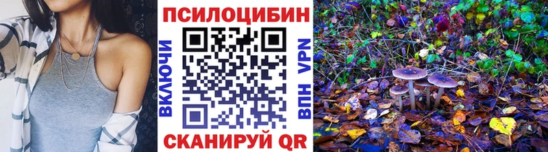 что такое наркотик  Инсар  Галлюциногенные грибы Psilocybine cubensis 